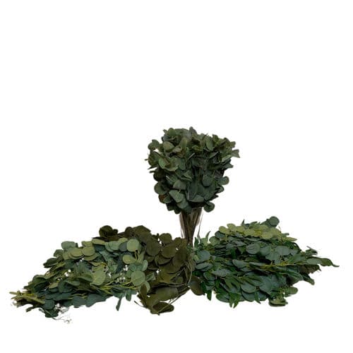 eucalyptus & assorted Greenery